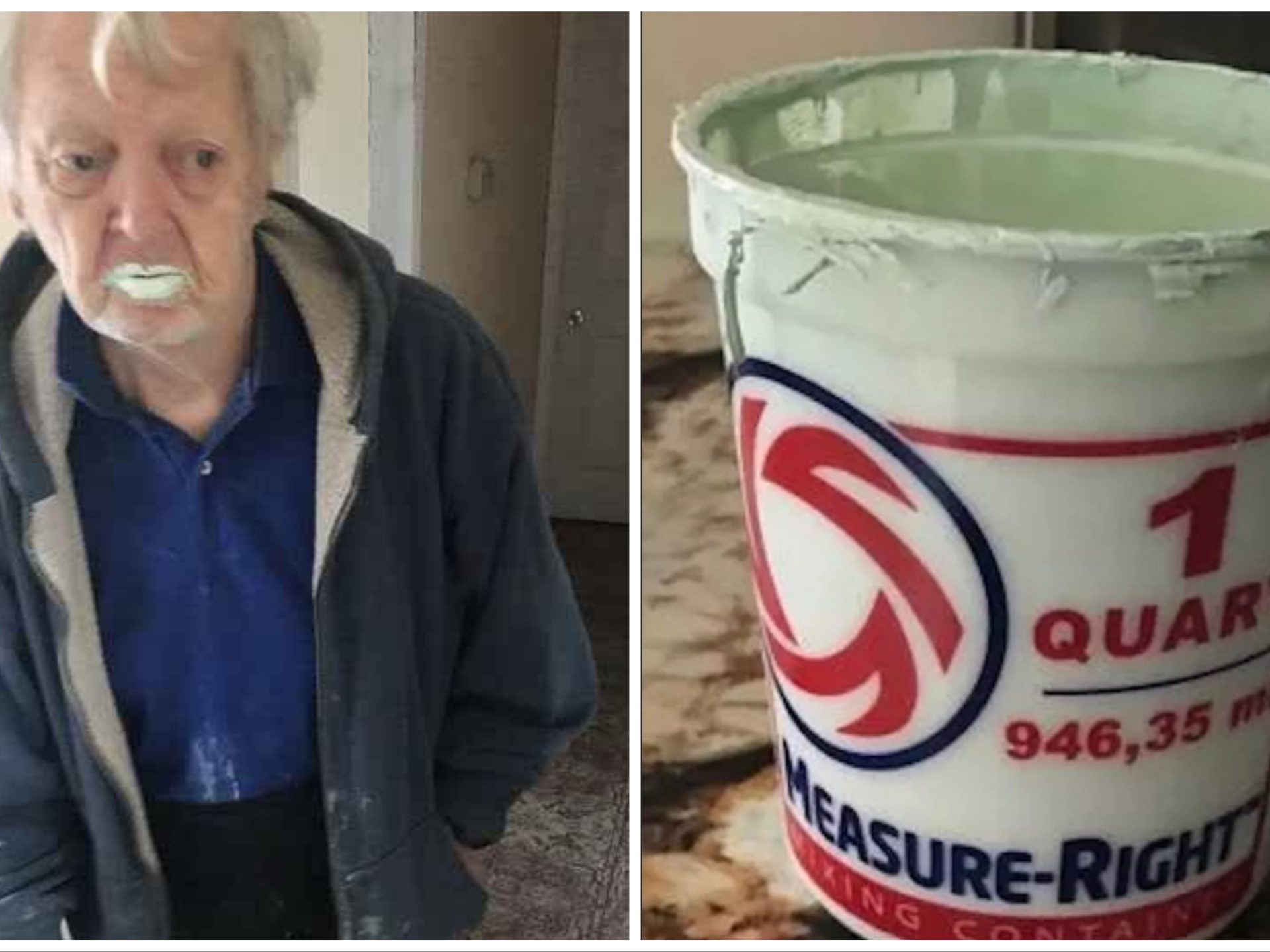 Confundió pintura con yogur y se convirtió en una estrella web: el abuelo Bobby ha muerto
