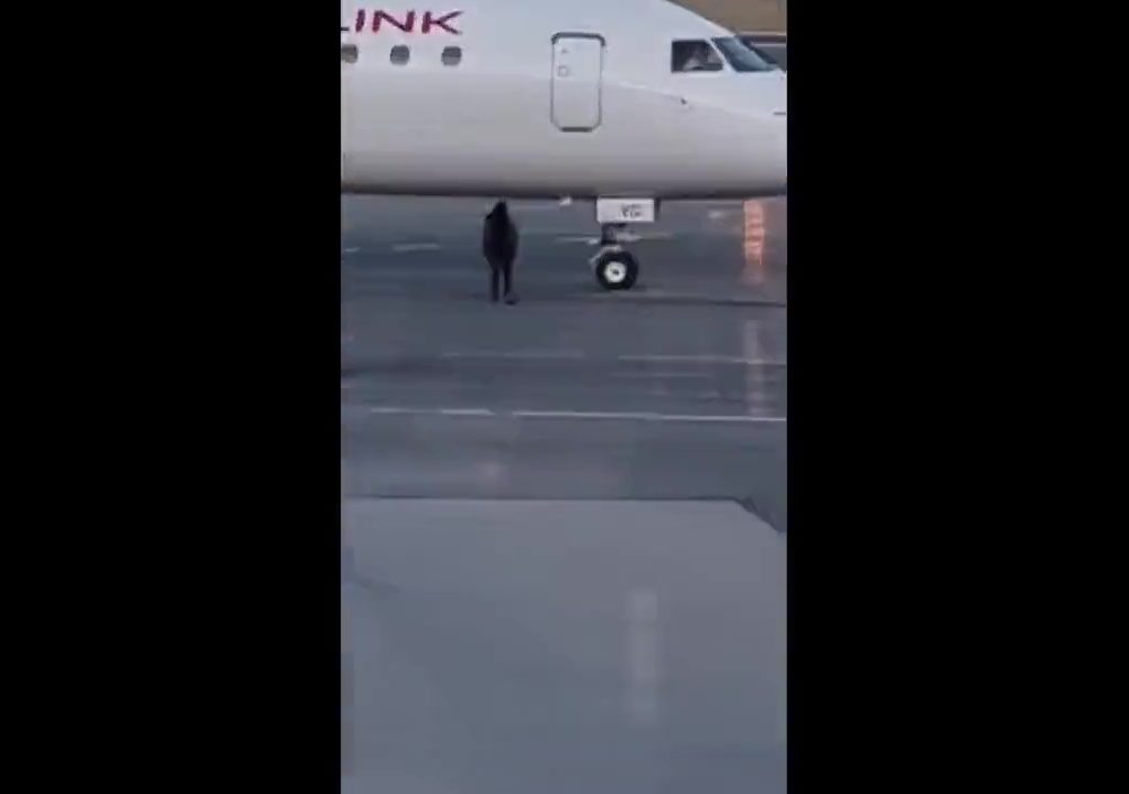 Sie verpasst den Flug, versucht ihn auf der Landebahn anzuhalten und wird verhaftet: Das Video geht viral