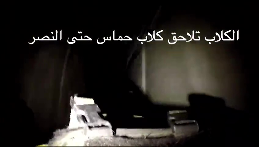 Israel entrena perros asesinos para destrozar a los terroristas de Hamás en los túneles de Gaza