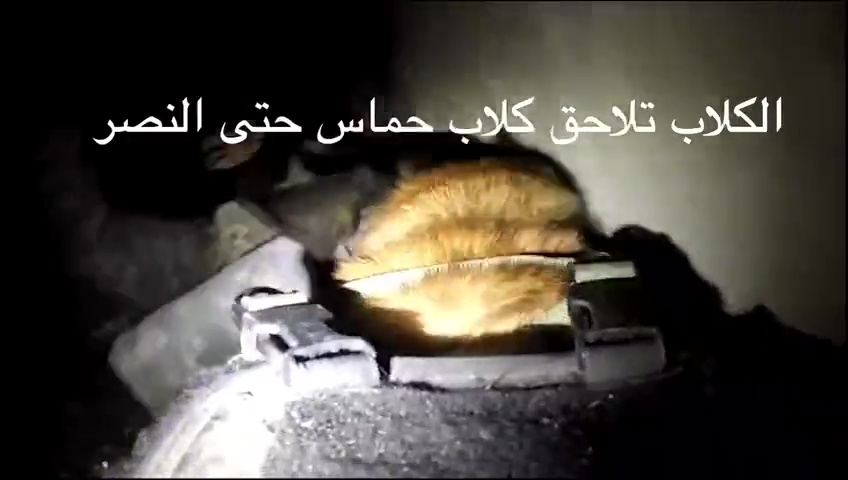 Israele addestra cani killer per sbranare terroristi di Hamas nei tunnel di Gaza