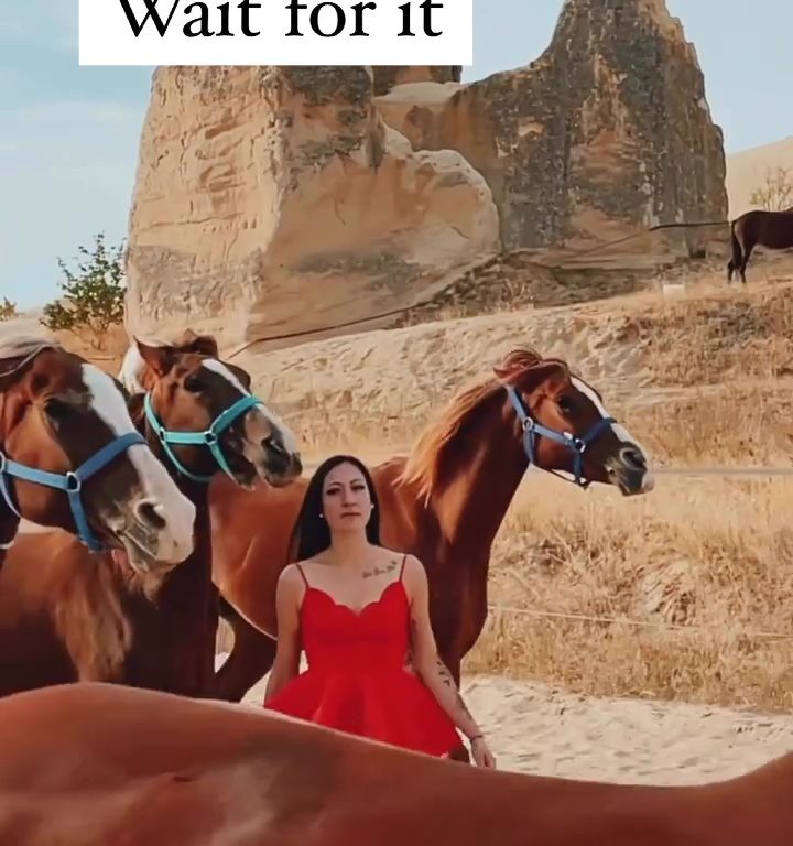 Aspirante influencer rischia la vita travolta da mandria di cavalli per un video virale
