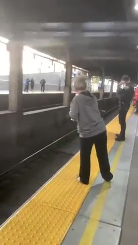 Toro escapa del matadero y va a tomar el metro: viajeros varados