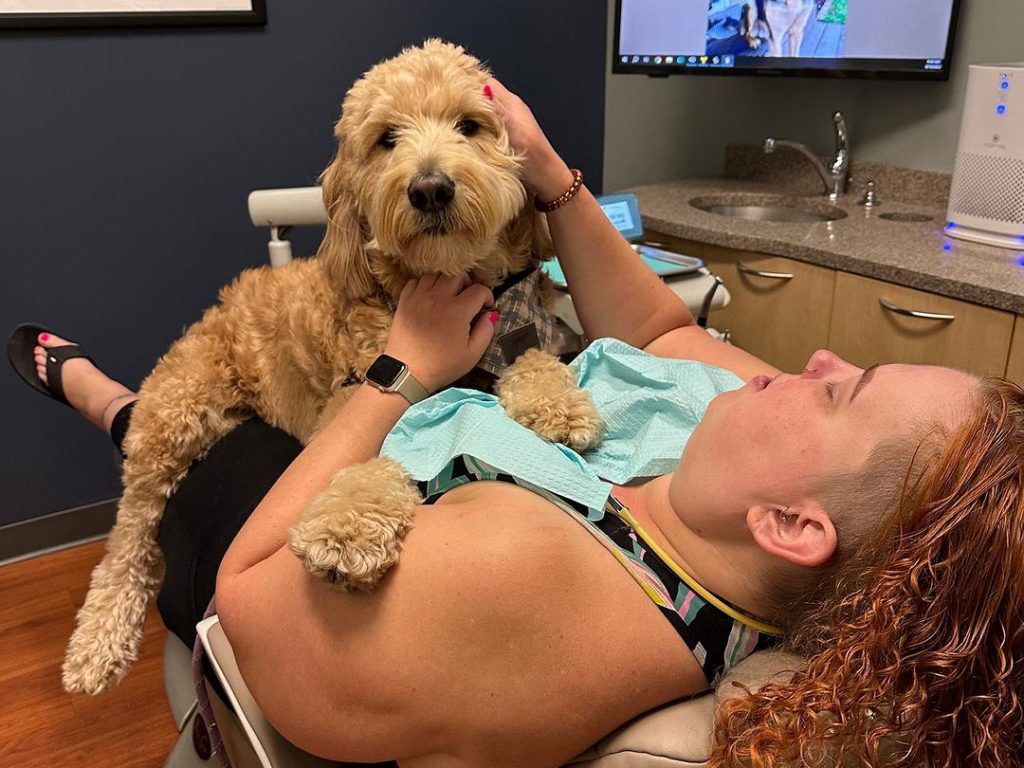 Dentista "anestetizza" pazienti usando un cane: riduce l'ansia