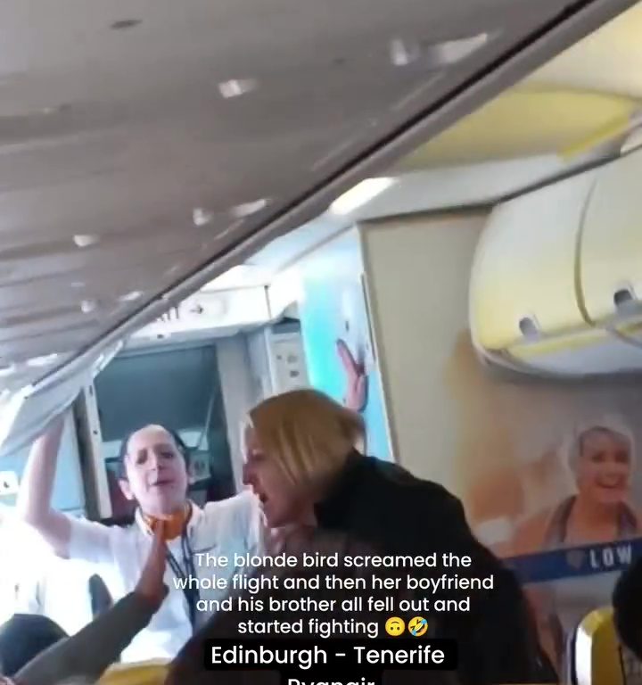 Cabezazos, gritos y puñetazos: la peor pelea en un avión se vuelve viral