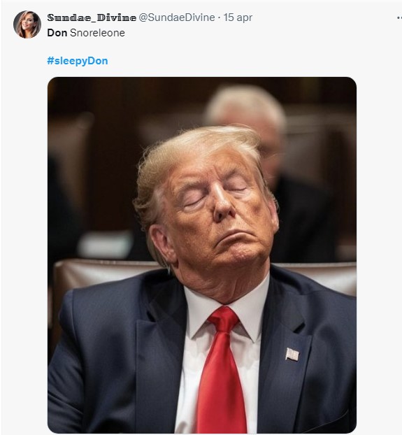 Donald Trump s'endort au tribunal et devient le mème du "Don endormi"
