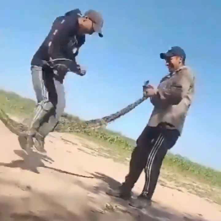 Usan una boa como cuerda para saltar Impactante video sobre la serpiente maltratada se hace viral