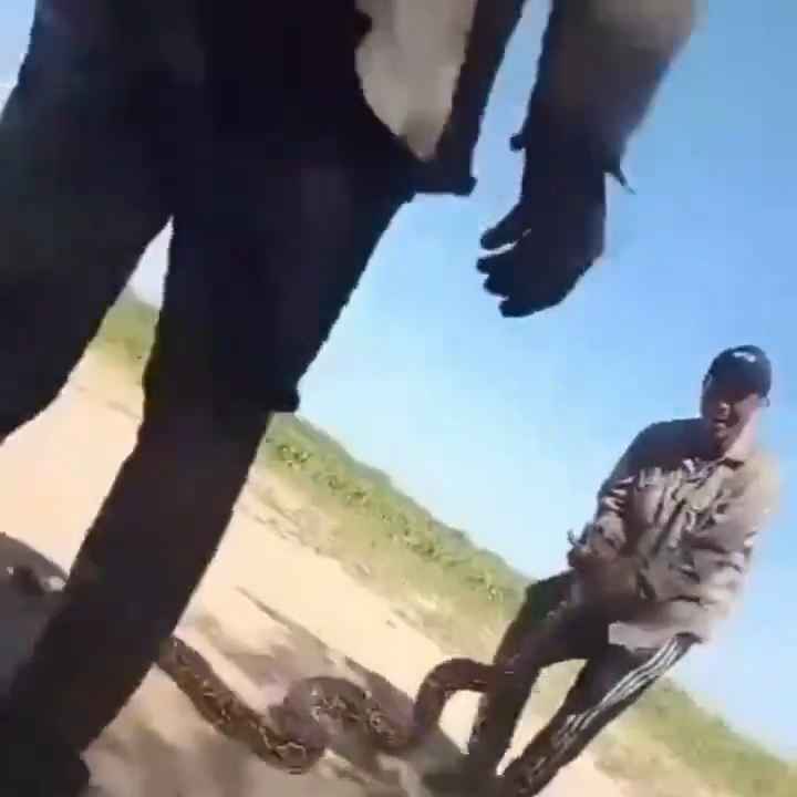 Sie benutzen eine Boa als Springseil. Das schockierende Video über die misshandelte Schlange geht viral