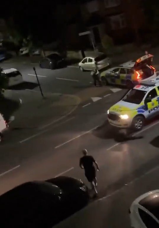 Un ternero aterrorizado deambula por la ciudad, la policía lo embiste 5 veces para detenerlo: impactante video