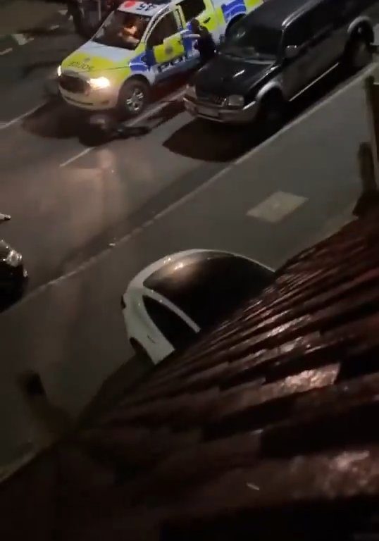 Un ternero aterrorizado deambula por la ciudad, la policía lo embiste 5 veces para detenerlo: impactante video