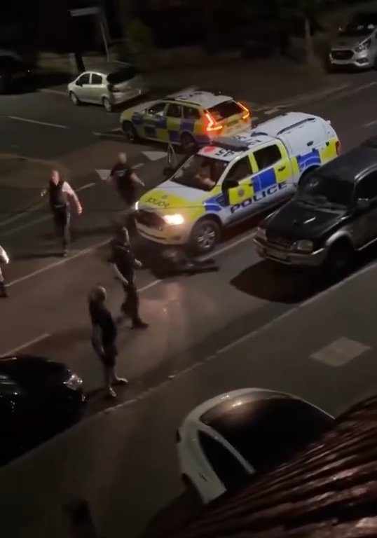 Verängstigtes Kalb wandert in die Stadt, Polizei rammt ihn fünfmal, um ihn aufzuhalten: schockierendes Video