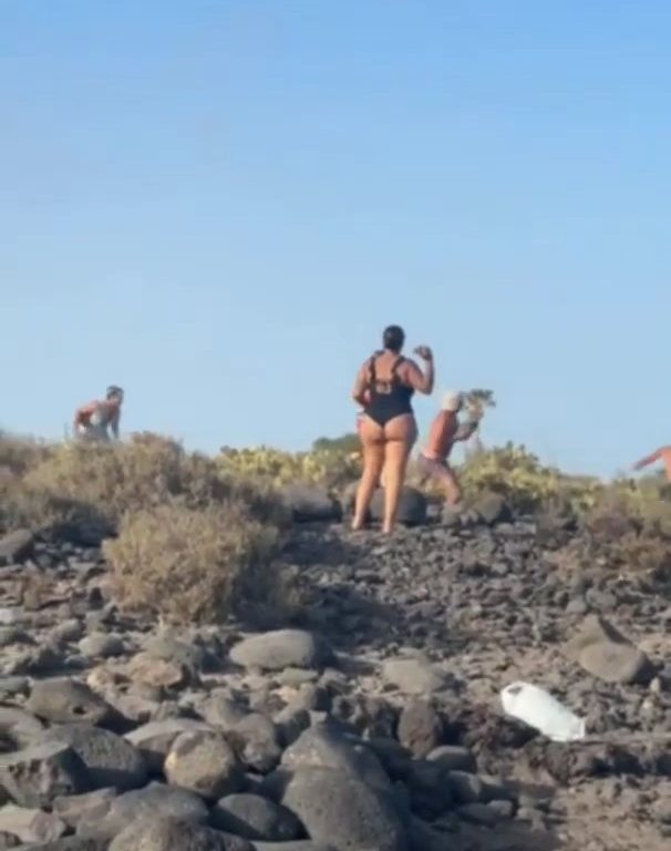 Schlägerei auf Teneriffa, Touristen werfen Steine zwischen weinende Frauen und Kinder