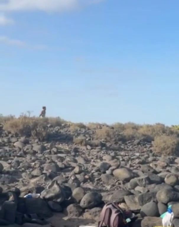 Schlägerei auf Teneriffa, Touristen werfen Steine zwischen weinende Frauen und Kinder