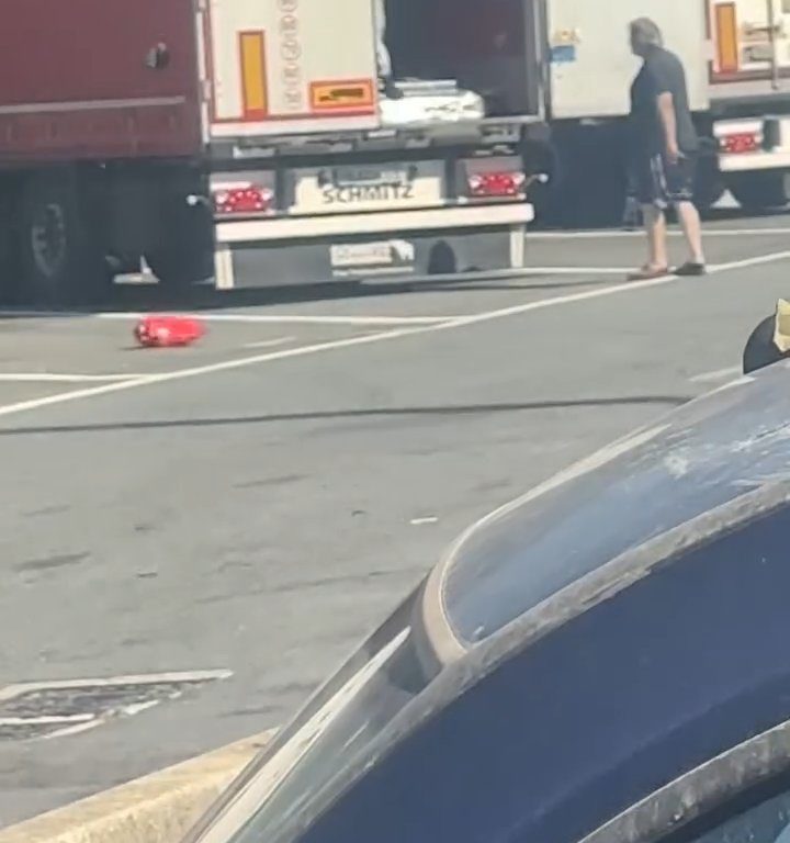 Camionero encuentra migrantes a bordo y los ahuyenta con cinturones: video viral