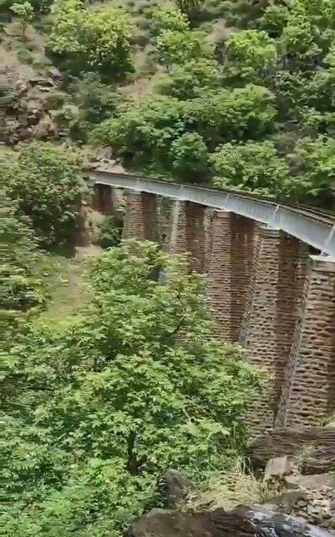 Sie machen Selfies auf der Brücke, als der Zug ankommt, und stürzen sich in einem schockierenden Video in die Schlucht