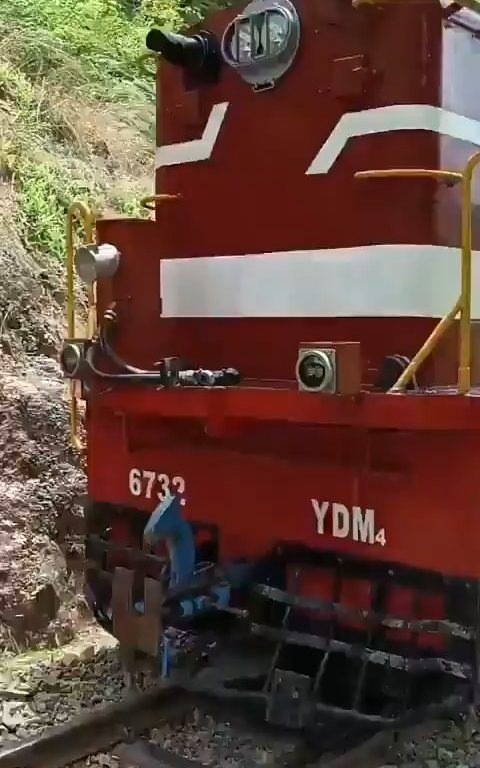 Sie machen Selfies auf der Brücke, als der Zug ankommt, und stürzen sich in einem schockierenden Video in die Schlucht