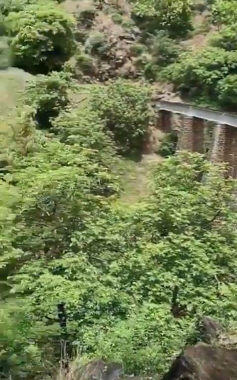 Sie machen Selfies auf der Brücke, als der Zug ankommt, und stürzen sich in einem schockierenden Video in die Schlucht