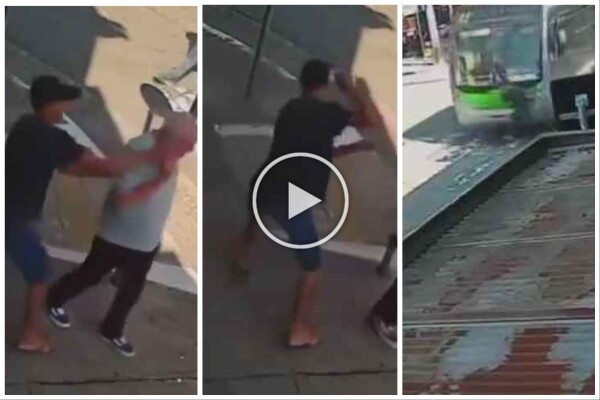 Niño le roba el celular a un anciano pero es atropellado por un autobús: muerto en TV en vivo