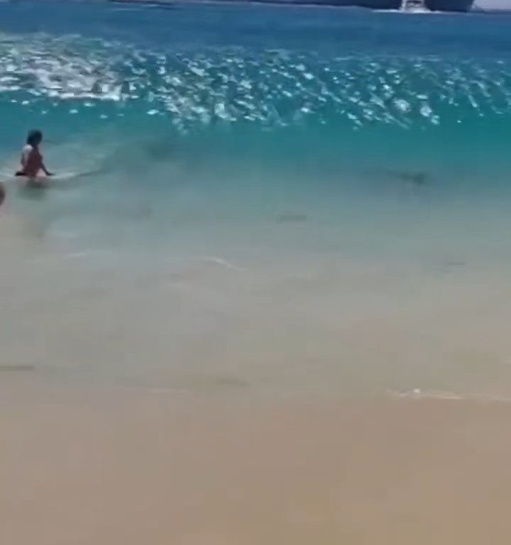 Fähre berührt Strand und verursacht einen Tsunami: Chaos am Strand