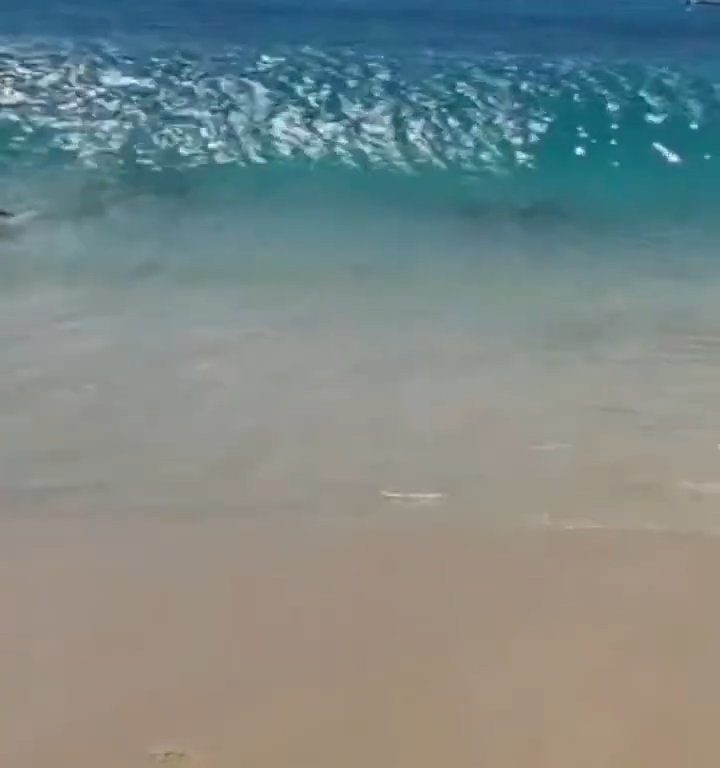 Fähre berührt Strand und verursacht einen Tsunami: Chaos am Strand