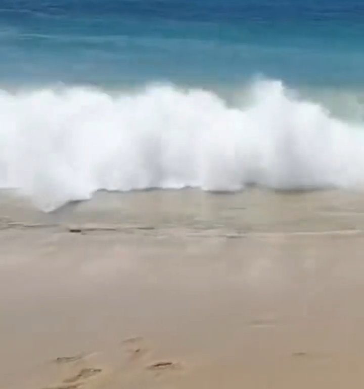 Fähre berührt Strand und verursacht einen Tsunami: Chaos am Strand