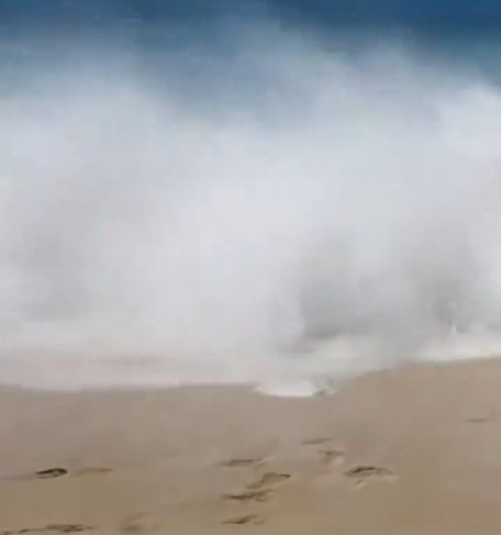 Fähre berührt Strand und verursacht einen Tsunami: Chaos am Strand