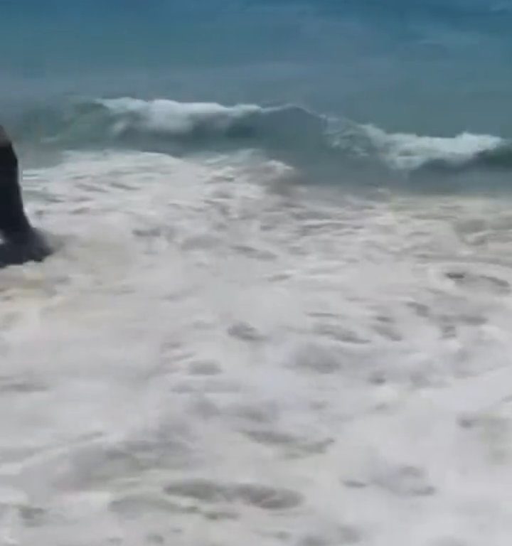 Fähre berührt Strand und verursacht einen Tsunami: Chaos am Strand