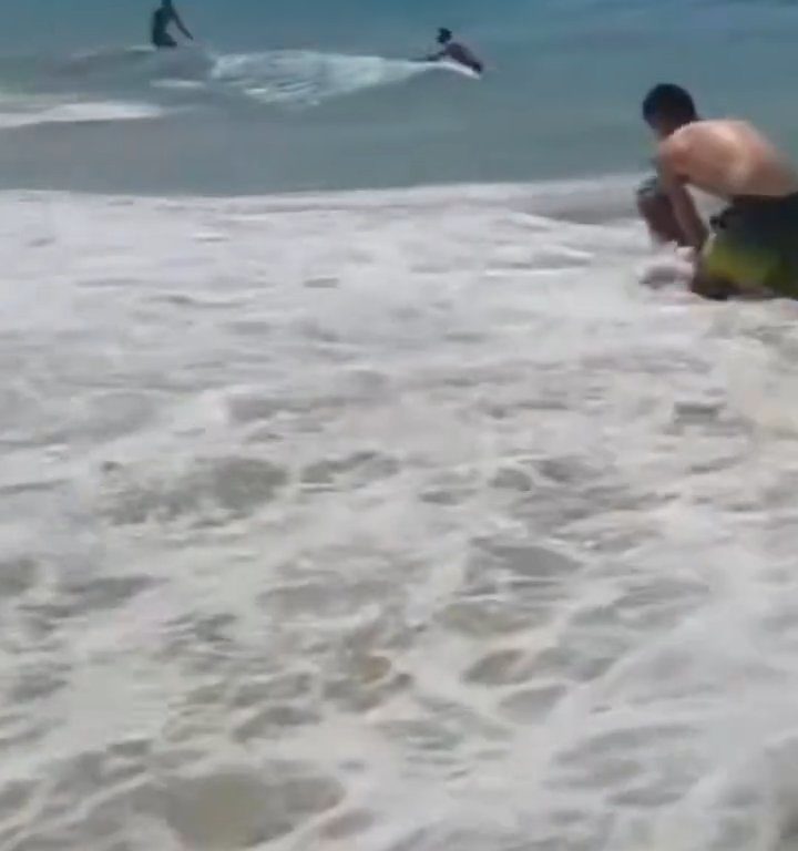 Fähre berührt Strand und verursacht einen Tsunami: Chaos am Strand