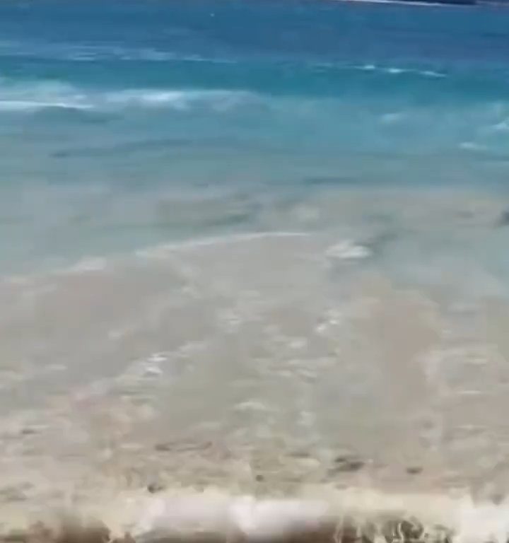 Fähre berührt Strand und verursacht einen Tsunami: Chaos am Strand