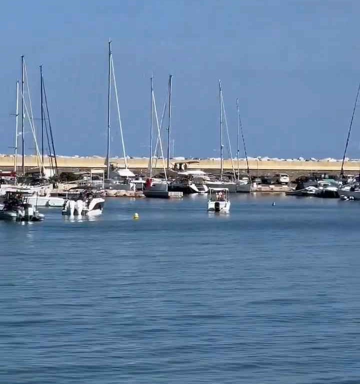 Aereo si schianta in mare davanti a decine di persone: video shock