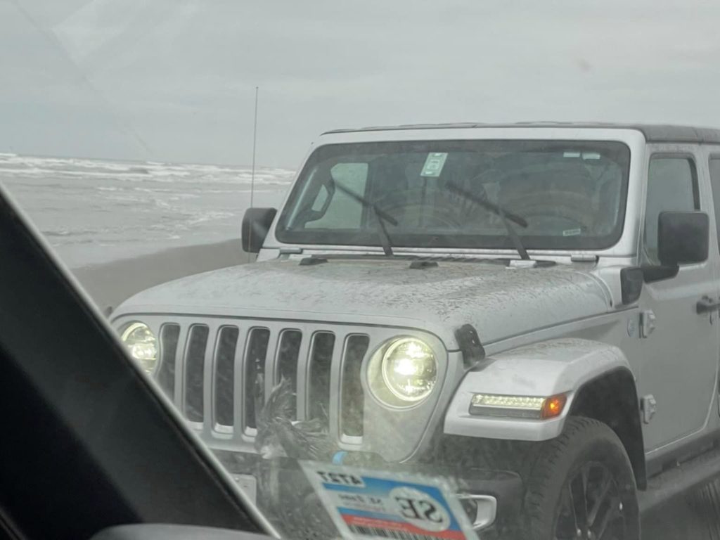 Une voiture sur la plage massacre un troupeau de mouettes, scène d'horreur filmée par des nageurs