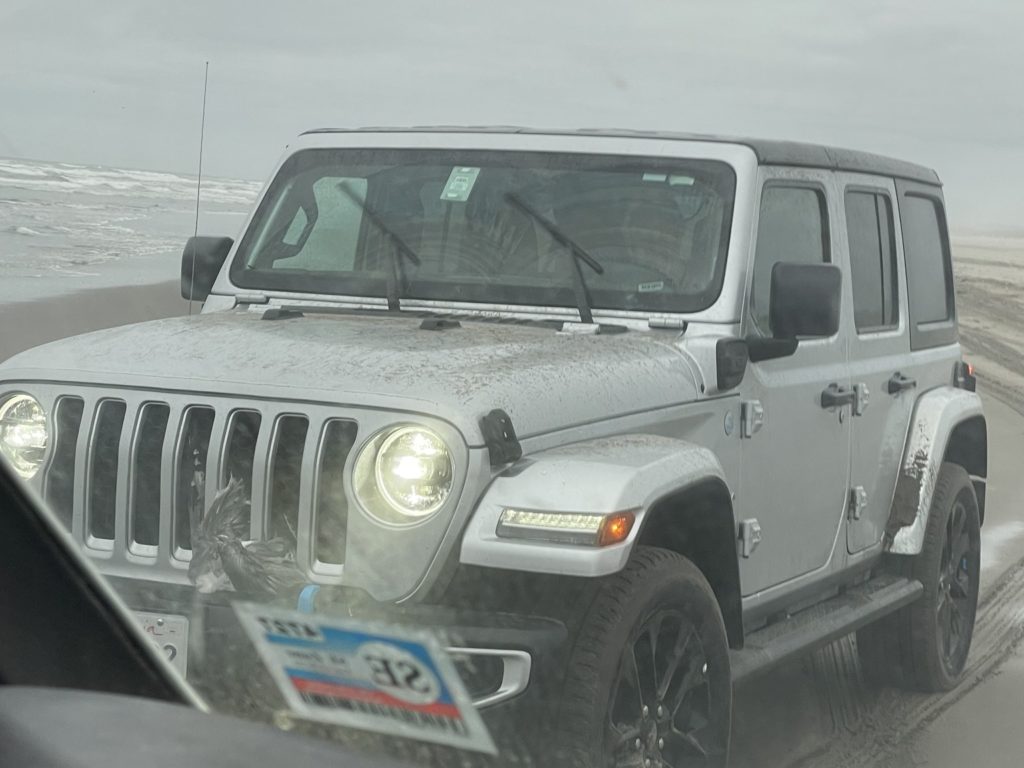 Auto am Strand massakriert Möwenschwarm, Horrorszene von Schwimmern gefilmt