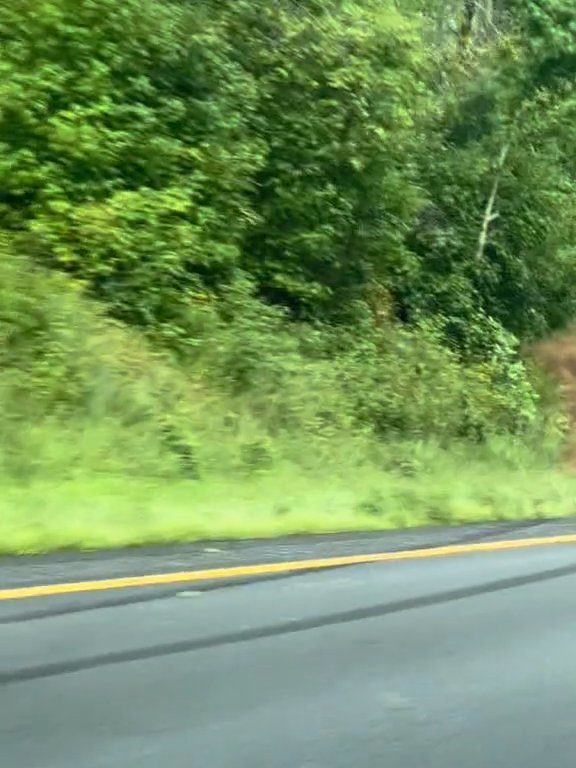 Un conducteur en colère tente de dépasser "tout-terrain" sur l'autoroute et détruit la voiture : vidéo choquante