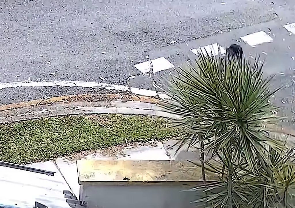 Café caliente en la cara de un recién nacido en el parque, el monstruo buscado en todo el mundo