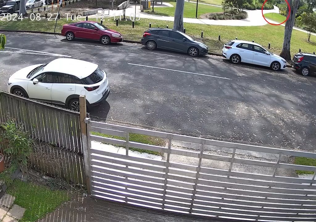 Café caliente en la cara de un recién nacido en el parque, el monstruo buscado en todo el mundo