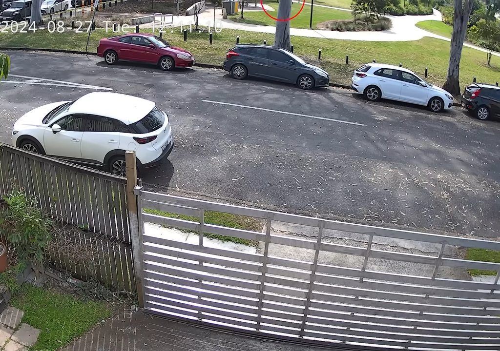 Café caliente en la cara de un recién nacido en el parque, el monstruo buscado en todo el mundo