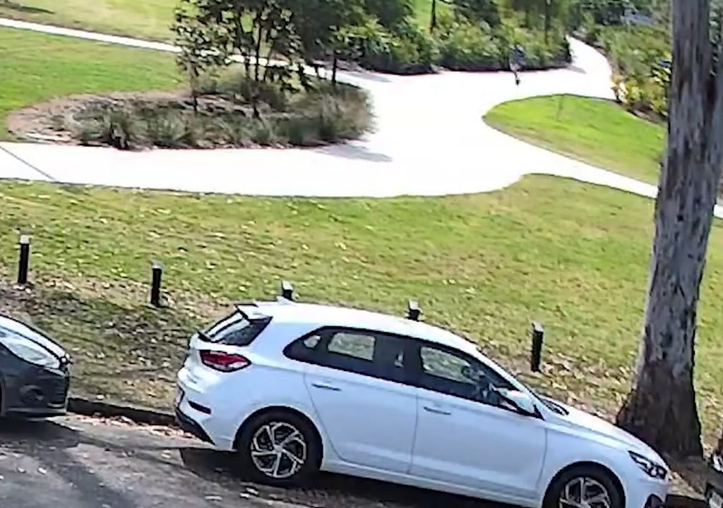 Café caliente en la cara de un recién nacido en el parque, el monstruo buscado en todo el mundo