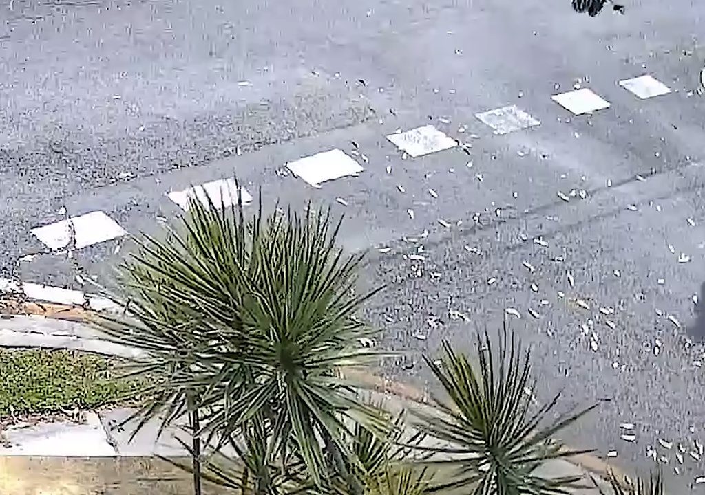 Café caliente en la cara de un recién nacido en el parque, el monstruo buscado en todo el mundo