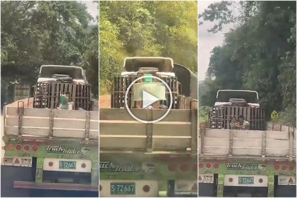 Coppia di clandestini su un camion sorpresa a far l'amore: dashcam li filma