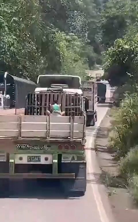 Coppia di clandestini su un camion sorpresa a far l'amore: dashcam li filma