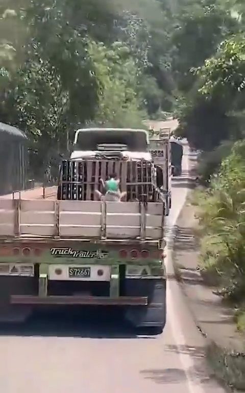 Coppia di clandestini su un camion sorpresa a far l'amore: dashcam li filma