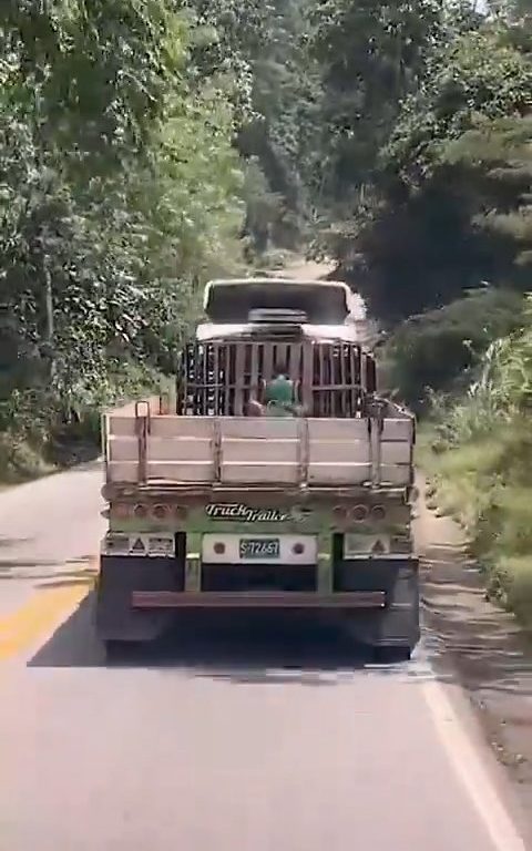 Un couple de clandestins dans un camion surpris en train de faire l'amour : une dashcam les filme