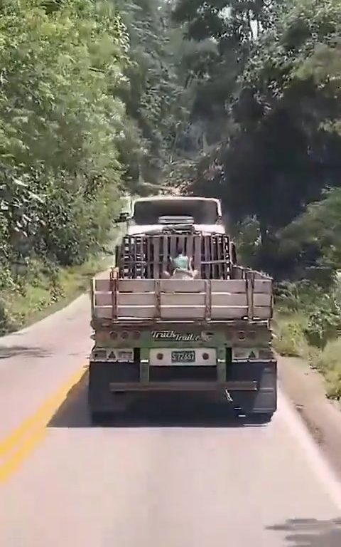 Coppia di clandestini su un camion sorpresa a far l'amore: dashcam li filma