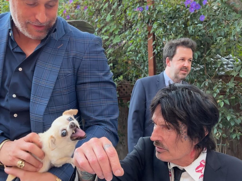 Coyote captura al perro de Tommy Lee, su esposa lo persigue y lo salva