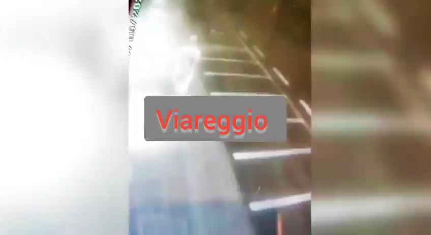 Mujer a la que le robaron el bolso se venga y atropella al ladrón: muerta, impactante video