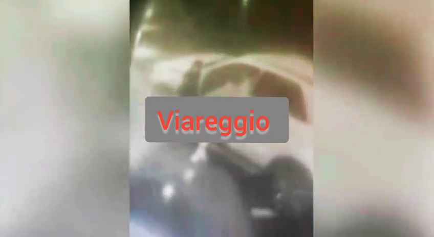 Mujer a la que le robaron el bolso se venga y atropella al ladrón: muerta, impactante video