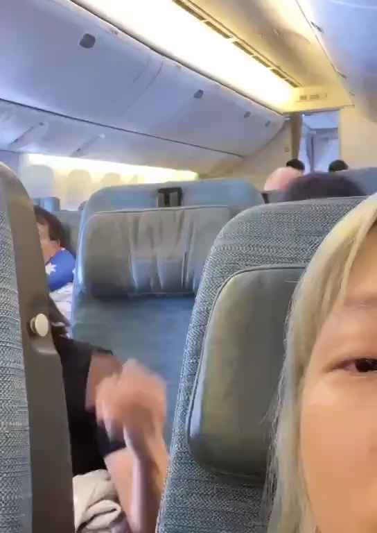 Il incline son siège dans l'avion et une bagarre éclate : insultes et coups de pied, puis vient l'expulsion.