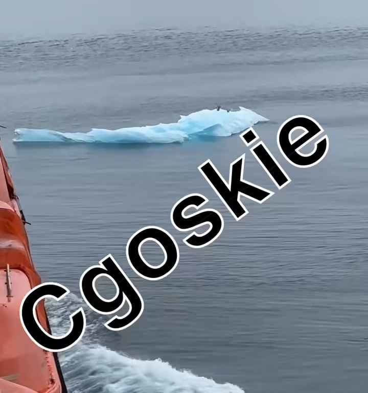 Rischio Titanic per nave da crociera, iceberg contro scafo: terrore a bordo