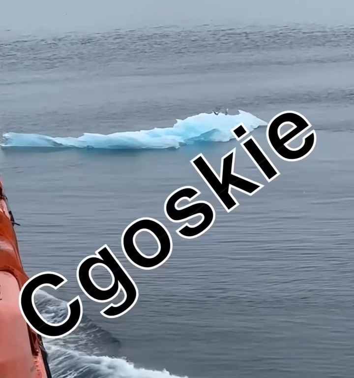 Rischio Titanic per nave da crociera, iceberg contro scafo: terrore a bordo