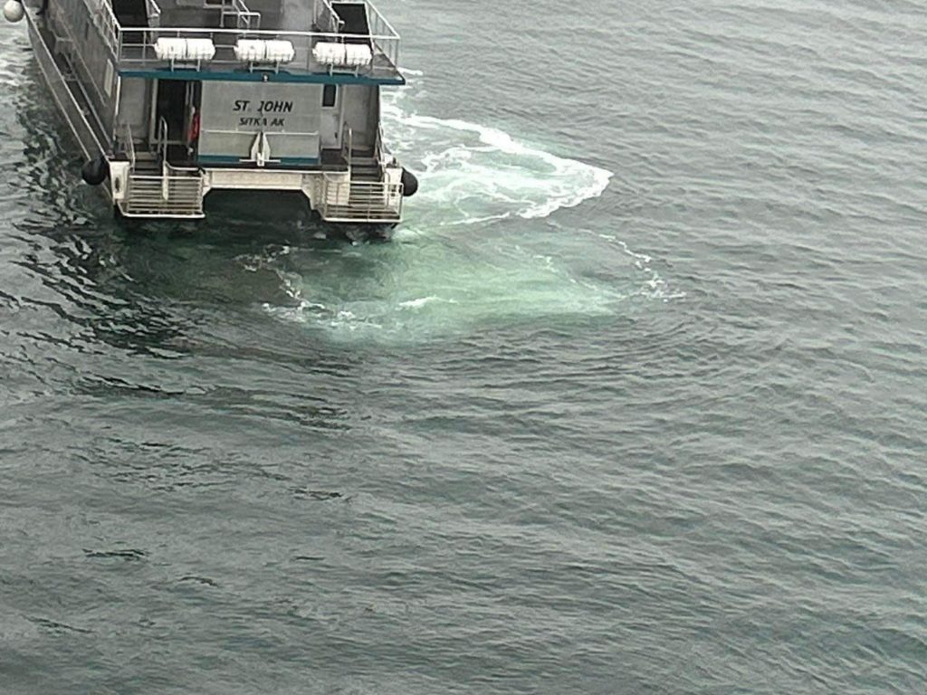 Rischio Titanic per nave da crociera, iceberg contro scafo: terrore a bordo